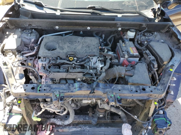 2019 Toyota RAV4 XLE with VIN JTMW1RFV1KD512263, listed as a Copart auction lot 50361875 with 49,028 mi miles and Salvage Title. Bid and sale history available at carsss.com. Image 12.