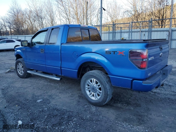 2010 Ford F-150 XL with VIN 1FTEX1EW1AFC83642, listed as a Copart auction lot 46632535 with 136,235 mi miles and Salvage Title. Bid and sale history available at carsss.com. Image 2.