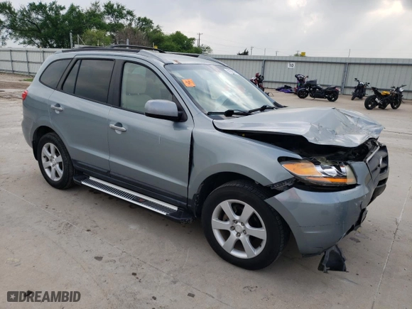 2009 Hyundai Santa Fe SE with VIN 5NMSH13EX9H281106, listed as a Copart auction lot 51635095 with 117,464 mi miles and Salvage Title. Bid and sale history available at carsss.com. Image 4.