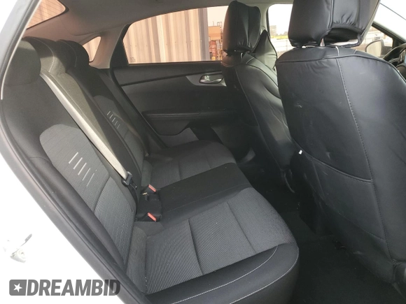 2019 Kia Forte LXS z VIN 3KPF24AD1KE008566, wystawiony jako Copart lot #48573245 z przebiegiem 136 242 mil mil oraz Czysty tytuł • Clean title. Historia ofert i sprzedaży dostępna na DreamBid. Obrazek 10.