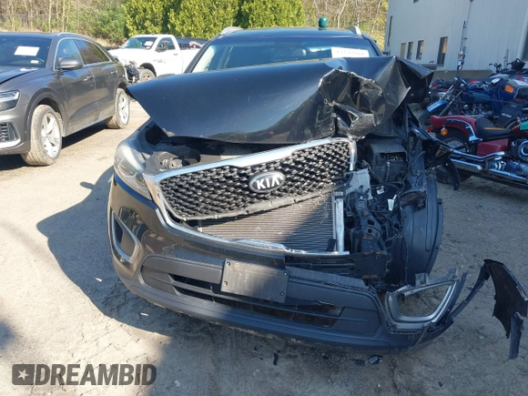 2016 Kia Sorento LX with VIN 5XYPGDA51GG179116, listed as a IAAI auction lot 42243910 with 159,805 mi miles and . Bid and sale history available at DreamBid. Image 12.