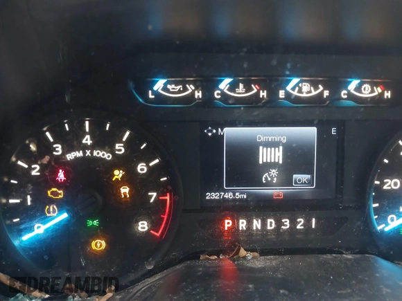 2016 Ford F-150 XL с VIN 1FTEX1C81GFB09051, выставлен на аукционе IAAI как лот 41300134 с пробегом 232 746 миль миль и . История ставок и продаж доступна на DreamBid. Изображение 16.