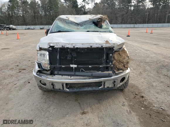 2013 Ford F-150 XL with VIN 1FTFW1CF9DKE64655, listed as a Copart auction lot 44327465 with 176,952 mi miles and Salvage Title. Bid and sale history available at carsss.com. Image 5.