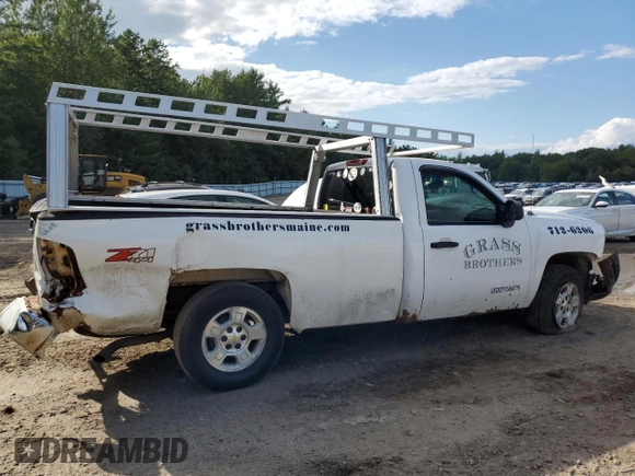 2009 Chevrolet Silverado 1500 with VIN 1GCEK24J89Z150770, listed as a Copart auction lot 66755994 with 240,924 mi miles and Salvage Title. Bid and sale history available at DreamBid. Image 3.