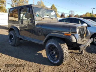 1993 Jeep Wrangler with VIN 1J4FY29S1PP235666, listed as a Copart auction lot 76386274 with 0 mi miles and Non Repairable. Bid and sale history available at carsss.com. Image 4.