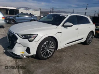 2019 Audi e-tron Prestige with VIN WA1VAAGE2KB023808, listed as a Copart auction lot 42624485 with 55,324 mi miles and Salvage Title. Bid and sale history available at carsss.com. Image 1.