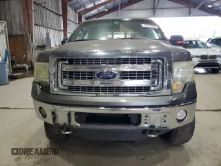 2013 Ford F-150 XL with VIN 1FTFW1ET6DFA01819, listed as a Copart auction lot 65373445 with Not provided miles and Clean title. Bid and sale history available at DreamBid. Image 5.
