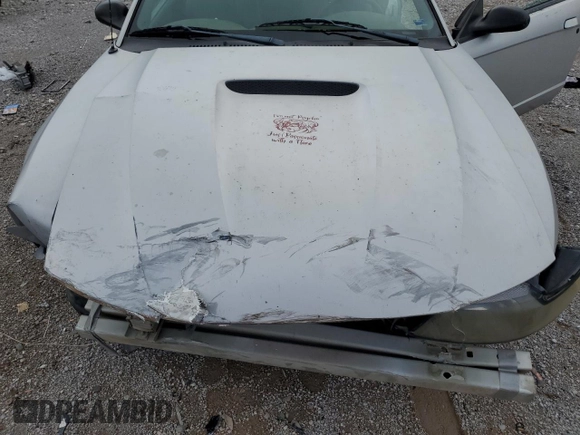 2002 Ford Mustang Standard with VIN 1FAFP40412F190297, listed as a Copart auction lot 61251985 with Not provided miles and Salvage title. Bid and sale history available at DreamBid. Image 11.
