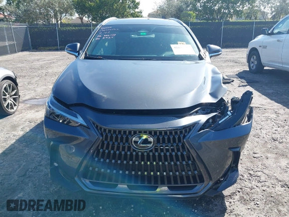2025 Lexus NX with VIN 2T2ADCAZ7SC018667, listed as a IAAI auction lot 41632712 with 8,268 mi miles. Bid and sale history available at carsss.com. Image 12.