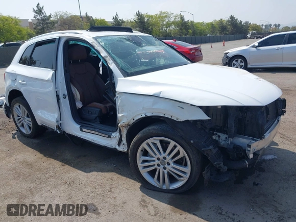 2019 Audi Q5 Premium Plus z VIN WA1BNAFY9K2124525, wystawiony jako IAAI lot #42164362 z przebiegiem Nie podano mil oraz . Historia ofert i sprzedaży dostępna na DreamBid. Obrazek 1.