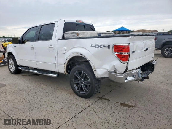 2010 Ford F-150 XL with VIN 1FTFW1EV9AFB45006, listed as a Copart auction lot 59585915 with 219,756 mi miles and Salvage title. Bid and sale history available at DreamBid. Image 2.