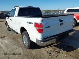2012 Ford F-150 XL with VIN 1FTFX1ET2CFA74133, listed as a IAAI auction lot 42052273 with 223,019 mi miles and . Bid and sale history available at DreamBid. Image 3.