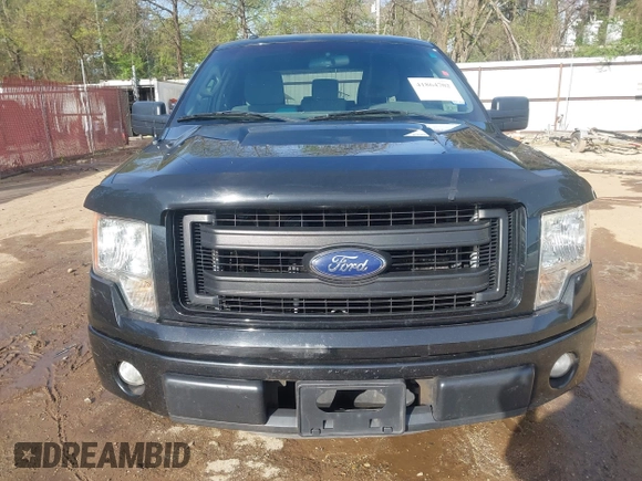 2013 Ford F-150 XL with VIN 1FTFX1CF5DFE02000, listed as a IAAI auction lot 41864702 with 185,992 mi miles. Bid and sale history available at carsss.com. Image 11.