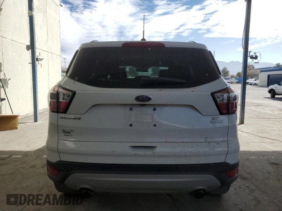 2017 Ford Escape SE with VIN 1FMCU0GD1HUE02085, listed as a Copart auction lot 46275885 with 155,003 mi miles and Salvage Title. Bid and sale history available at carsss.com. Image 6.