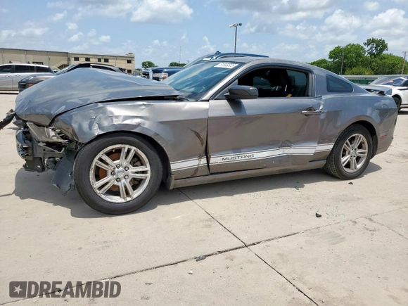 2014 Ford Mustang V6 with VIN 1ZVBP8AM3E5224293, listed as a Copart auction lot 61583305 with Not provided miles and Salvage title. Bid and sale history available at DreamBid. Image 1.