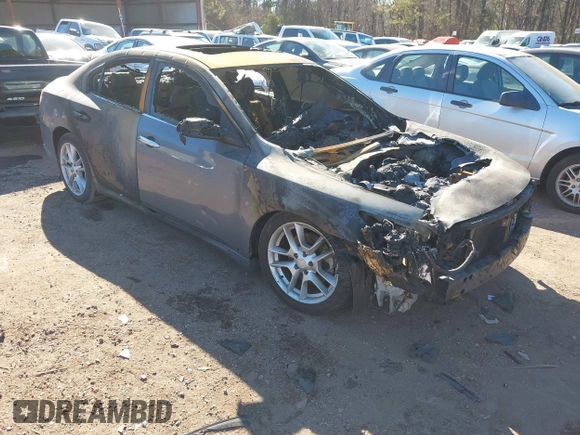 2010 Nissan Maxima SV with VIN 1N4AA5AP5AC824186, listed as a IAAI auction lot 41377558 with Not provided miles and . Bid and sale history available at DreamBid. Image 1.