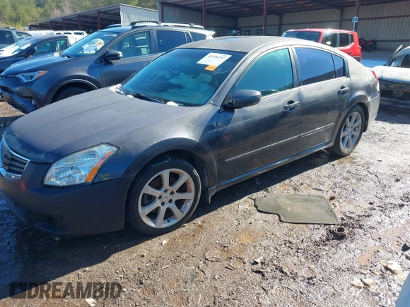 2008 Nissan Maxima 3.5 SL with VIN 1N4BA41E48C828298, listed as a IAAI auction lot 41296157 with 1 mi miles. Bid and sale history available at carsss.com. Image 2.