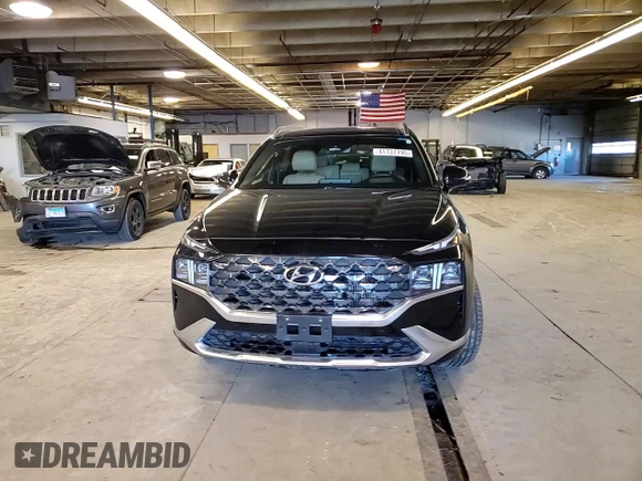 2021 Hyundai Santa Fe Calligraphy with VIN 5NMS5DAL5MH323833, listed as a Copart auction lot 41337795 with 54,484 mi miles and Salvage title. Bid and sale history available at DreamBid. Image 11.