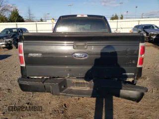 2014 Ford F-150 XL z VIN 1FTEX1CM6EFC17451, wystawiony jako Copart lot #83059294 z przebiegiem 253 221 mil mil oraz Szkoda całkowita • Salvage title. Historia ofert i sprzedaży dostępna na DreamBid. Obrazek 6.