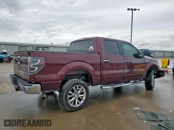 2009 Ford F-150 XL with VIN 1FTRW128X9FA32446, listed as a Copart auction lot 60648505 with 210,587 mi miles and Salvage title. Bid and sale history available at DreamBid. Image 3.