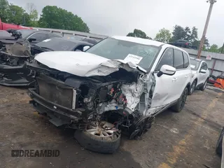 2024 Kia Telluride LX z VIN 5XYP24GC1RG411138, wystawiony jako IAAI lot #42144580 z przebiegiem Nie podano mil oraz . Historia ofert i sprzedaży dostępna na DreamBid. Obrazek 2.
