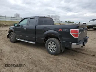 2011 Ford F-150 XL with VIN 1FTFX1EF5BFA97625, listed as a Copart auction lot 50976075 with 180,115 mi miles and Clean Title. Bid and sale history available at carsss.com. Image 2.