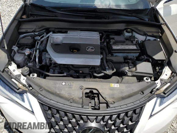 2020 Lexus UX 200 with VIN JTHP3JBH1L2022644, listed as a Copart auction lot 61127245 with 48,940 mi miles and Salvage title. Bid and sale history available at DreamBid. Image 12.