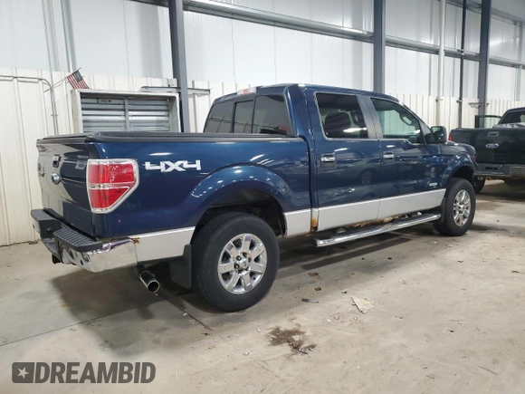 2013 Ford F-150 XL with VIN 1FTFW1ET1DKG51049, listed as a Copart auction lot 44202195 with 133,415 mi miles and Salvage Title. Bid and sale history available at carsss.com. Image 3.