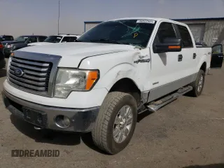 2011 Ford F-150 XLT with VIN 1FTFW1ET0BFC92699, listed as a Copart auction lot 48822555 with 202,806 mi miles and Salvage Title. Bid and sale history available at carsss.com. Image 1.