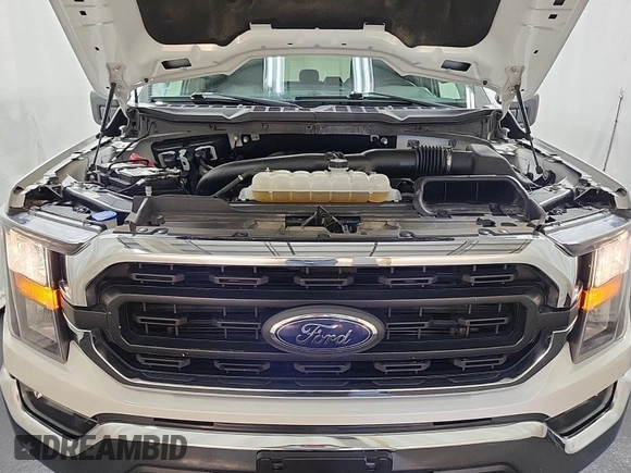 2023 Ford F-150 XL с VIN 1FTFW1E85PFB56569, выставлен на аукционе IAAI как лот 42799832 с пробегом 46 625 миль миль и . История ставок и продаж доступна на DreamBid. Изображение 33.