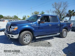 2010 Ford F-150 XL with VIN 1FTEW1E87AFC45675, listed as a Copart auction lot 49620315 with 161,987 mi miles and Non Repairable. Bid and sale history available at carsss.com. Image 1.