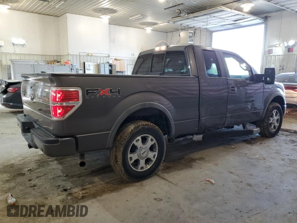 2009 Ford F-150 XL with VIN 1FTPX14V39KB41099, listed as a Copart auction lot 57279624 with 114,594 mi miles and Clean Title. Bid and sale history available at carsss.com. Image 3.