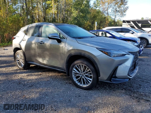 2023 Lexus NX with VIN 2T2GKCEZXPC012007, listed as a Copart auction lot 73273994 with 20,893 mi miles and Salvage Title. Bid and sale history available at carsss.com. Image 4.