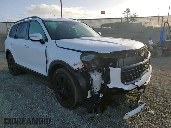 2024 Kia Telluride SX Prestige with VIN 5XYP5DGC7RG514765, listed as a Copart auction lot 84893694 with 4,341 mi miles and Salvage title. Bid and sale history available at DreamBid. Image 11.