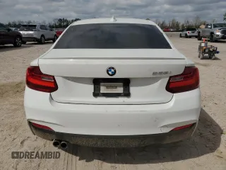 2016 BMW 2 Series 228i z VIN WBA1F9C57GV742193, wystawiony jako Copart lot #48878695 z przebiegiem Nie podano mil oraz Szkoda całkowita • Salvage title. Historia ofert i sprzedaży dostępna na DreamBid. Obrazek 6.