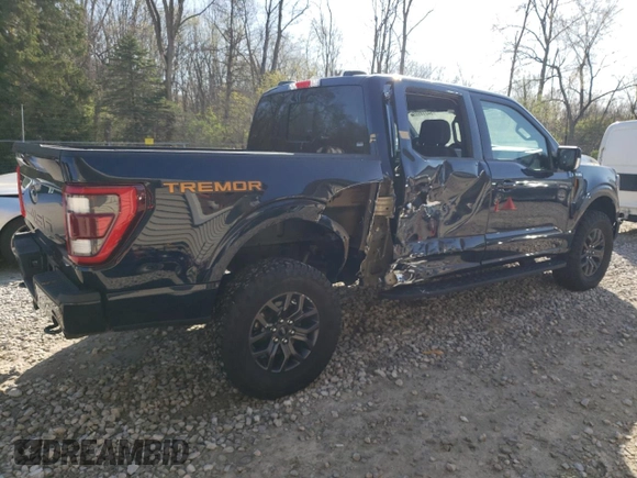 2023 Ford F-150 XL with VIN 1FTEW1E8XPFD11743, listed as a Copart auction lot 54319555 with 16,306 mi miles and Salvage Title. Bid and sale history available at carsss.com. Image 3.