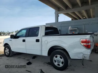 2014 Ford F-150 XL with VIN 1FTEW1CM9EFA41241, listed as a Copart auction lot 56217225 with 256,673 mi miles and Salvage title. Bid and sale history available at DreamBid. Image 2.