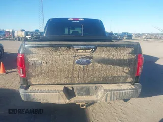 2017 Ford F-150 XL with VIN 1FTEW1CF1HFB04502, listed as a IAAI auction lot 40925741 with 138,566 mi miles and . Bid and sale history available at DreamBid. Image 16.