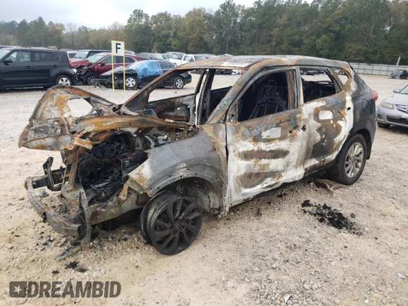 2017 Hyundai Tucson SE with VIN KM8J23A44HU455869, listed as a Copart auction lot 48906865 with Not Provided miles and Non Repairable. Bid and sale history available at DreamBid. Image 1.