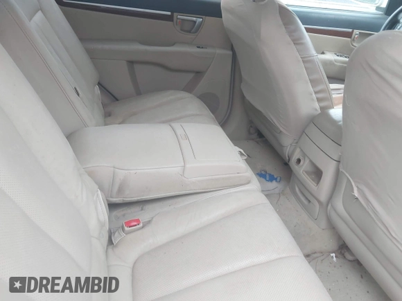2007 Hyundai Santa Fe SE with VIN 5NMSH13E57H063796, listed as a IAAI auction lot 42356059 with 270,309 mi miles and . Bid and sale history available at DreamBid. Image 8.