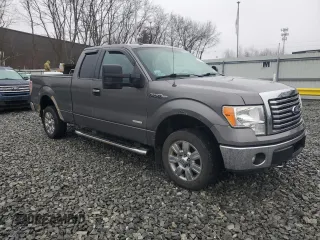 2011 Ford F-150 XL with VIN 1FTFX1ET9BFB60294, listed as a Copart auction lot 49955825 with 161,724 mi miles and Clean Title. Bid and sale history available at carsss.com. Image 4.