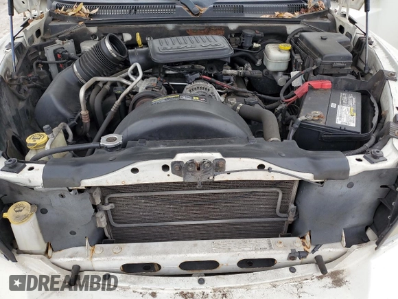 2009 Dodge Dakota with VIN 1D3HE32K69S747955, listed as a Copart auction lot 81483314 with 184,285 mi miles and Clean title. Bid and sale history available at DreamBid. Image 11.