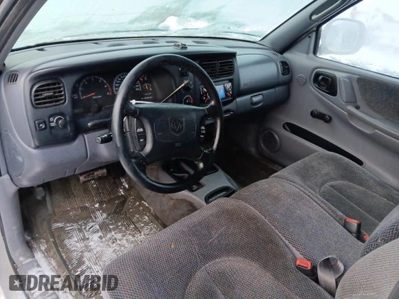 1998 Dodge Dakota SLT with VIN 1B7GG22X0WS597602, listed as a Copart auction lot 84299884 with 187,120 mi miles and Salvage Title. Bid and sale history available at carsss.com. Image 8.