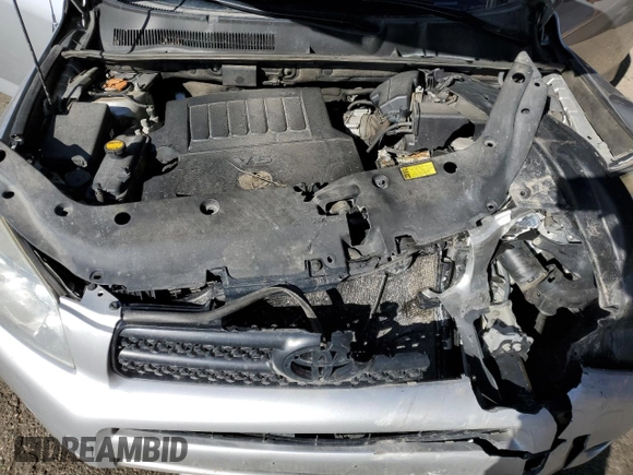 2006 Toyota RAV4 with VIN JTMBK33V265001156, listed as a Copart auction lot 49004405 with 174,256 mi miles and Salvage Title. Bid and sale history available at carsss.com. Image 12.