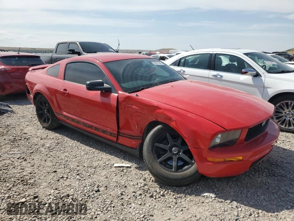 2006 Ford Mustang Standard with VIN 1ZVFT80N865131486, listed as a Copart auction lot 62031945 with Not provided miles and Salvage title. Bid and sale history available at DreamBid. Image 4.