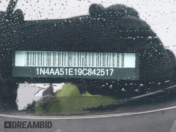 2009 Nissan Maxima SV with VIN 1N4AA51E19C842517, listed as a IAAI auction lot 41534246 with 278,067 mi miles and . Bid and sale history available at DreamBid. Image 9.
