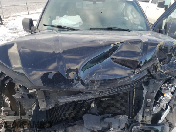 2019 Ford F-150 XL with VIN 1FTEW1EP9KKD61251, listed as a Copart auction lot 81344233 with 141,639 mi miles and Salvage title. Bid and sale history available at DreamBid. Image 11.