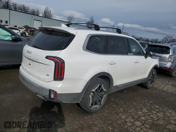 2024 Kia Telluride EX with VIN 5XYP3DGC2RG451676, listed as a Copart auction lot 46161785 with 19,793 mi miles and Salvage Title. Bid and sale history available at carsss.com. Image 3.