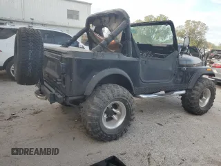 1986 Jeep CJ with VIN 1JCCM87E9GT012320, listed as a Copart auction lot 76745944 with 185,443 mi miles and Clean Title. Bid and sale history available at carsss.com. Image 3.
