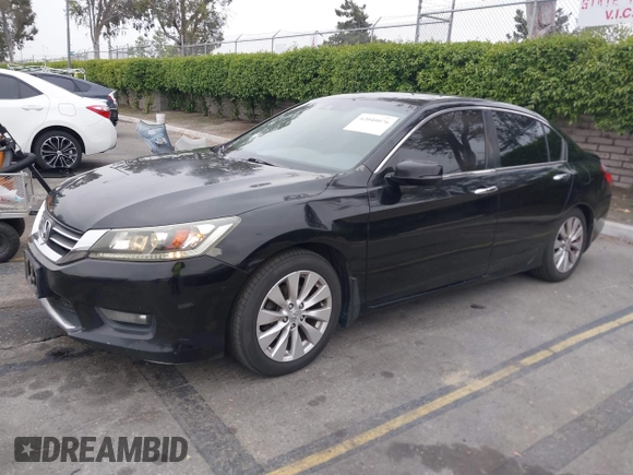 2014 Honda Accord EX-L with VIN 1HGCR2F81EA208824, listed as a IAAI auction lot 42040076 with 177,706 mi miles and . Bid and sale history available at carsss.com. Image 17.